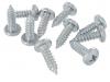 Paruzzi number: 7437 Panhead screws (10 pieces)