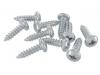 Paruzzi number: 7445 Panhead screws (10 pieces)
Length: 13 mm 
Diameter: 3.9 mm 
Material: galvanized steel 
Screw head Type: Philips 