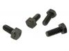 Paruzzi number: 7424 Body to chassis, horn, bumper bracket and engine mounting bolts (4 pieces)